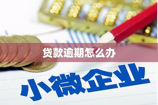 西屿贷款逾期怎么办