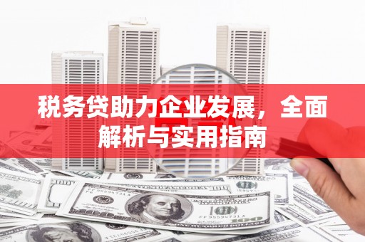 西屿税务贷助力企业发展，全面解析与实用指南