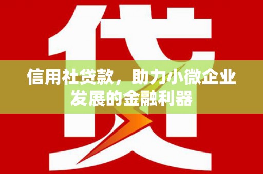 西屿信用社贷款，助力小微企业发展的金融利器