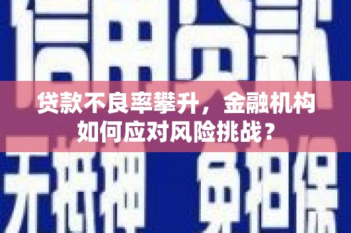 西屿贷款不良率攀升，金融机构如何应对风险挑战？