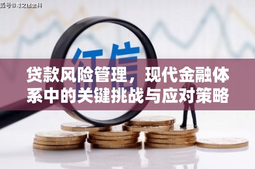 西屿贷款风险管理，现代金融体系中的关键挑战与应对策略