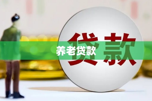 西屿养老贷款