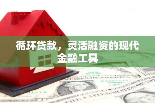 西屿循环贷款，灵活融资的现代金融工具