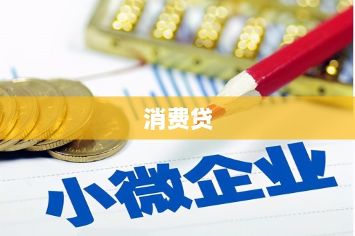 西屿消费贷