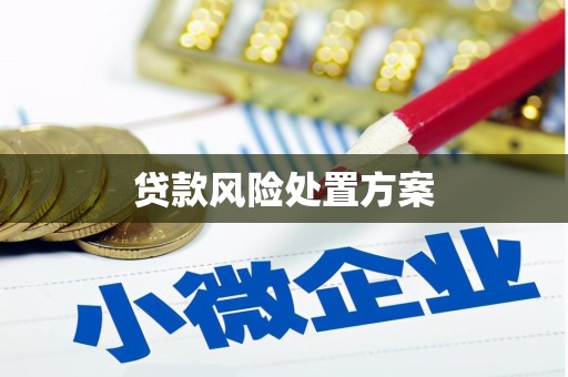 西屿贷款风险处置方案