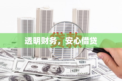 西屿透明财务，安心借贷
