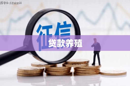 西屿贷款养殖