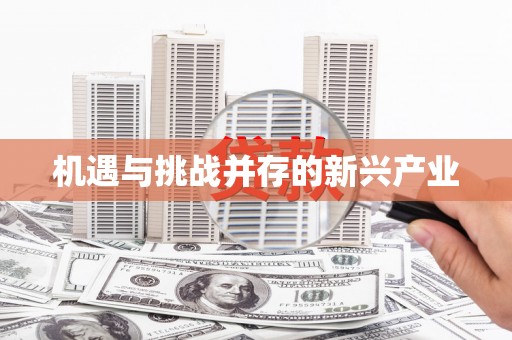 西屿机遇与挑战并存的新兴产业