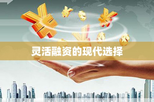 西屿灵活融资的现代选择