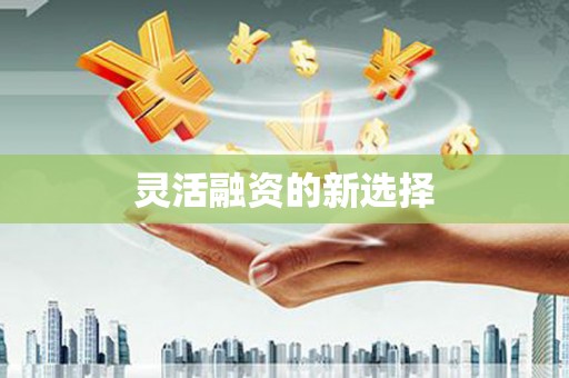 西屿灵活融资的新选择