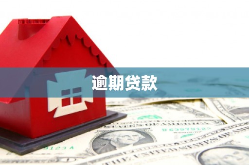 西屿逾期贷款