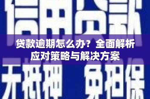 西屿贷款逾期怎么办？全面解析应对策略与解决方案