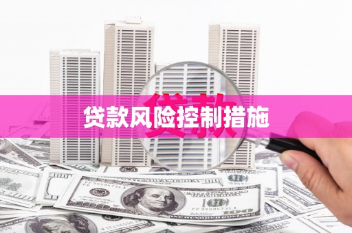 西屿贷款风险控制措施