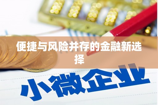西屿便捷与风险并存的金融新选择