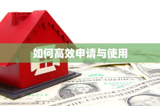 西屿如何高效申请与使用