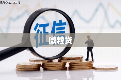 西屿微粒贷