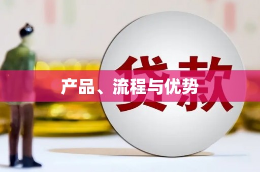 西屿产品、流程与优势