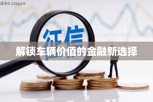 西屿解锁车辆价值的金融新选择