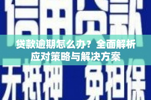 西屿贷款逾期怎么办？全面解析应对策略与解决方案
