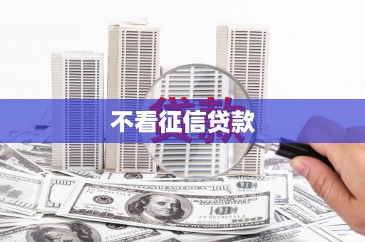 西屿不看征信贷款