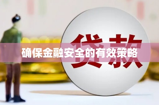 西屿确保金融安全的有效策略