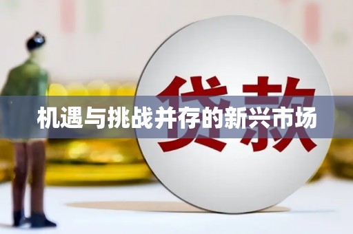 西屿机遇与挑战并存的新兴市场
