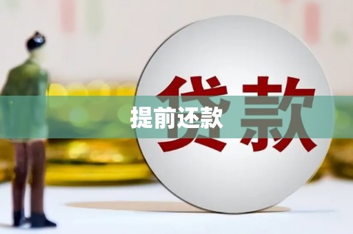 西屿提前还款