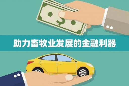 西屿助力畜牧业发展的金融利器