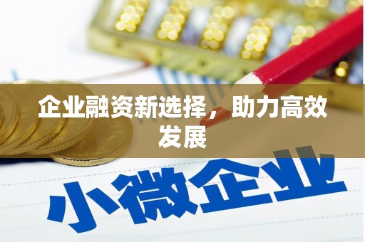 西屿企业融资新选择，助力高效发展