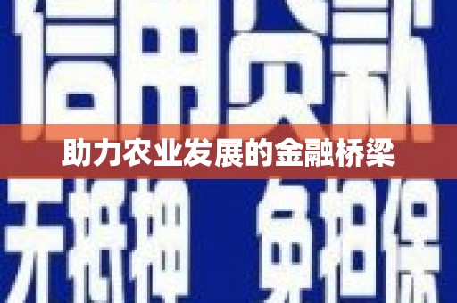 西屿助力农业发展的金融桥梁