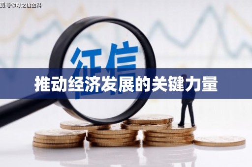 西屿推动经济发展的关键力量