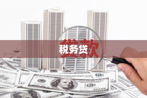 西屿税务贷